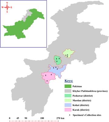 Genotyping of ticks: first molecular report of Hyalomma asiaticum and molecular detection of tick-borne bacteria in ticks and blood from Khyber Pakhtunkhwa, Pakistan